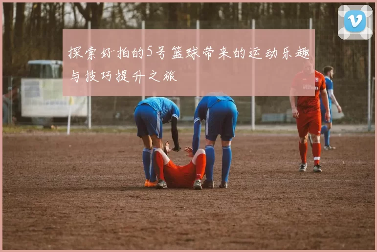 探索好拍的5号篮球带来的运动乐趣与技巧提升之旅