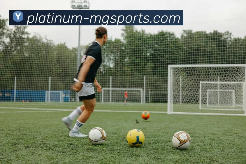 满贯体育服务体系